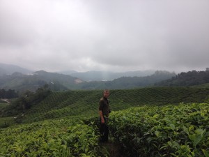 Cameron Highlands-033